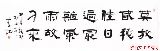 ____--黭С