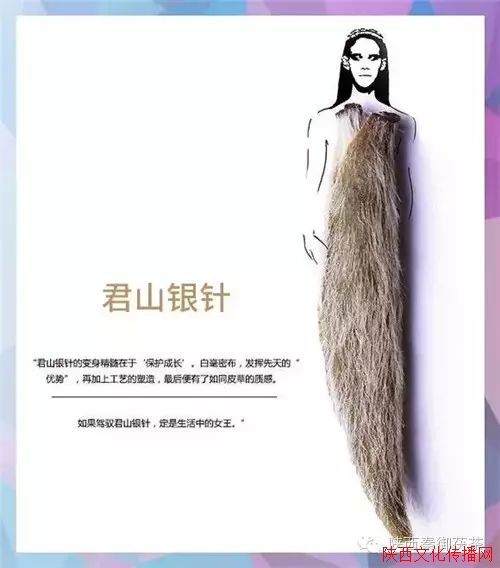 ԭ費Ժ,棡