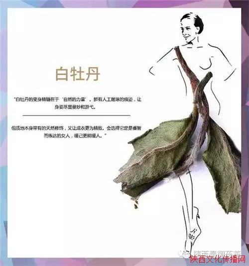 ԭ費Ժ,棡