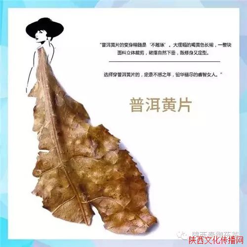 ԭ費Ժ,棡