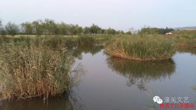 ӰƷ