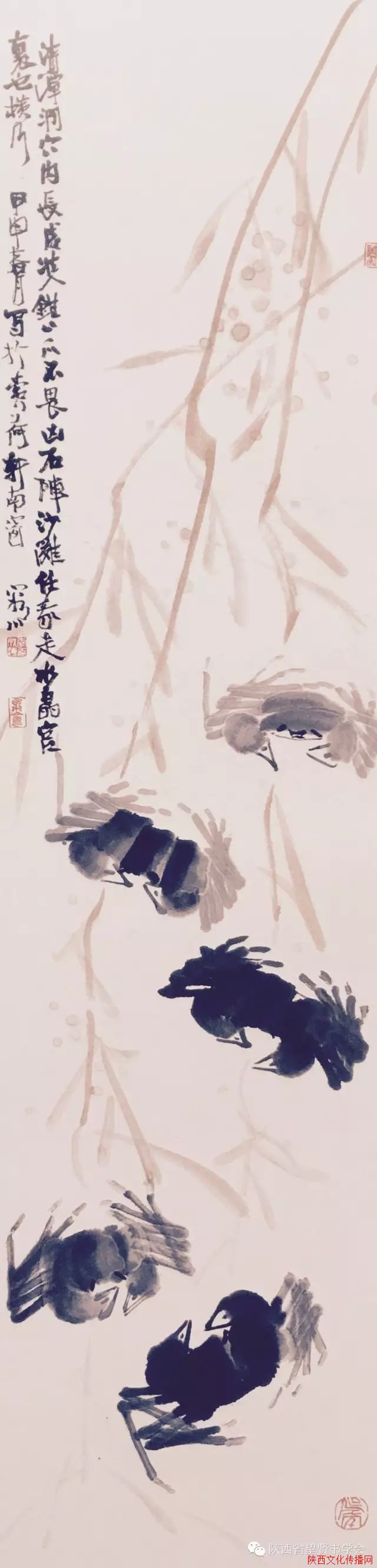 ÷żɺƷ