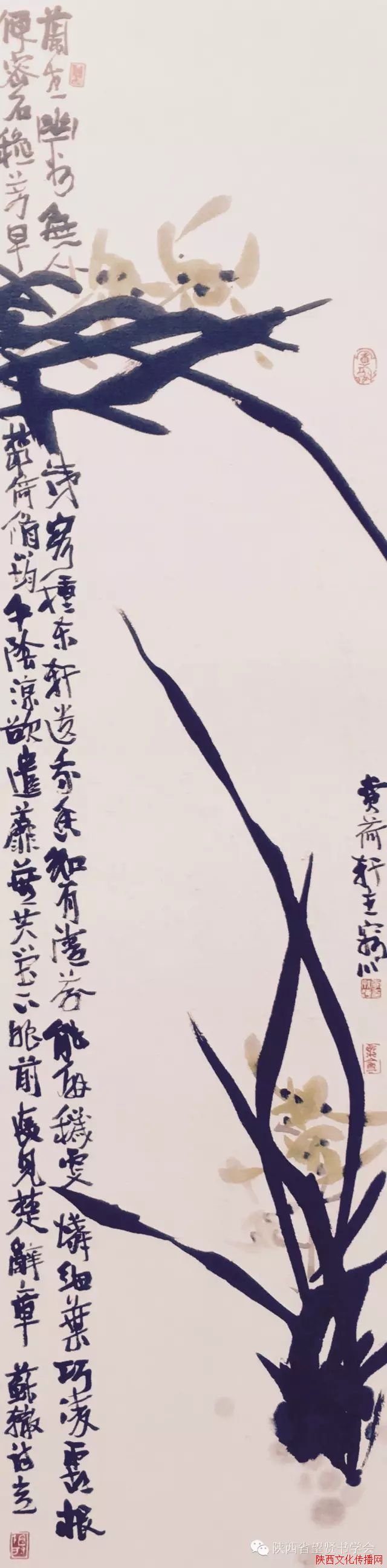÷żɺƷ
